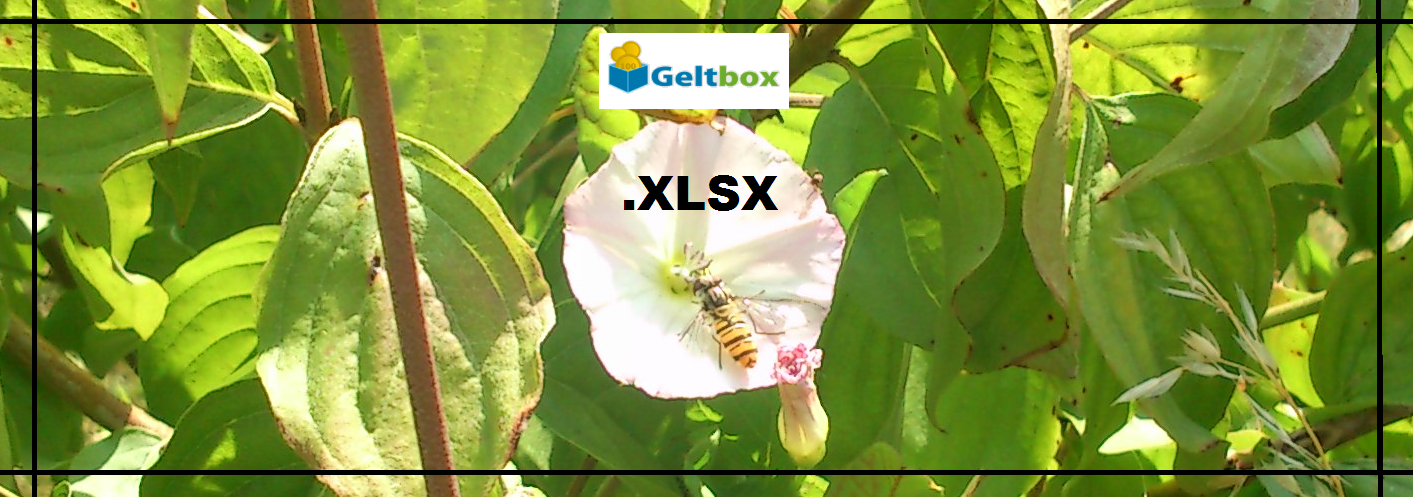 Bee from a flower powder that says XLSX